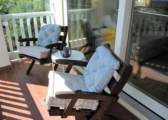 Dora Below 洛迦诺